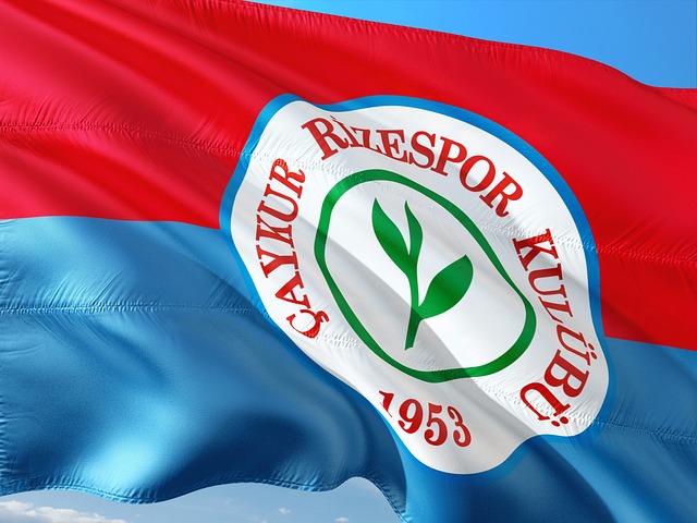 在全国范围 在全国范围