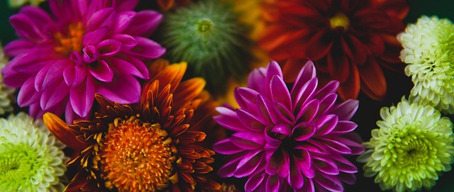 不仅会提高 不仅会提高