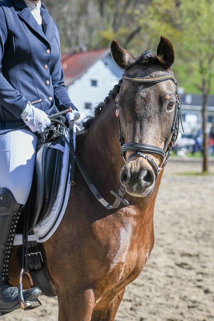 著名影星X 著名影星X