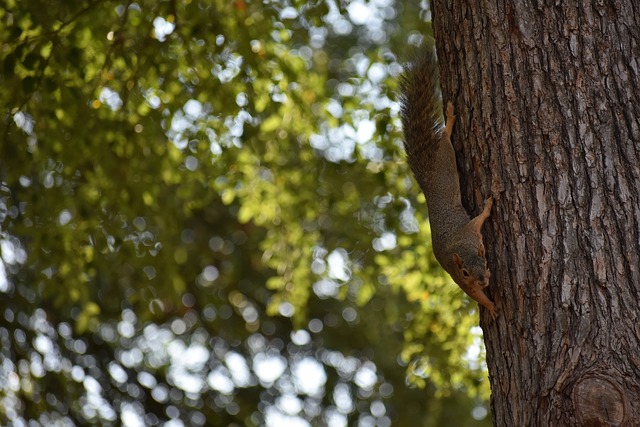 续的高强度 续的高强度