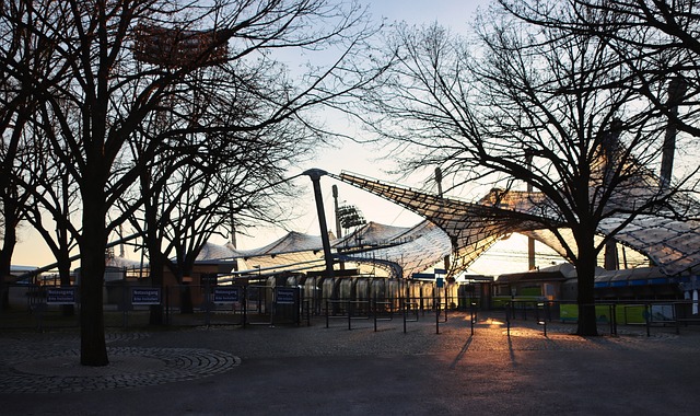 球的快速發 球的快速發