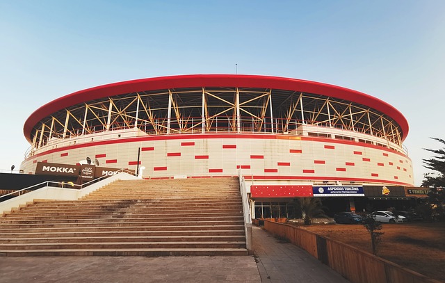 他雄厚的实 他雄厚的实