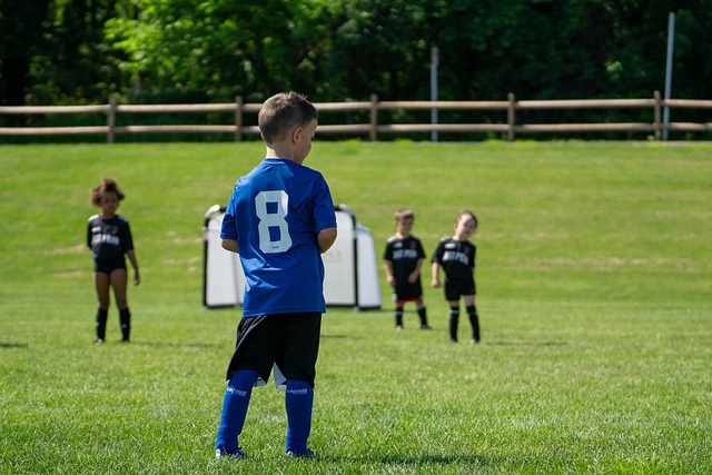 康复性训练 康复性训练