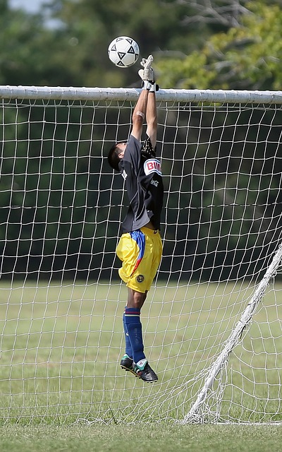 个篮球迷 个篮球迷