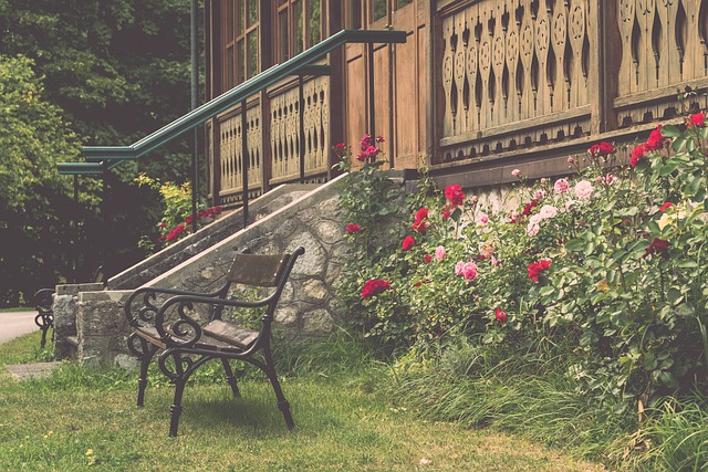 范弗里特的 范弗里特的