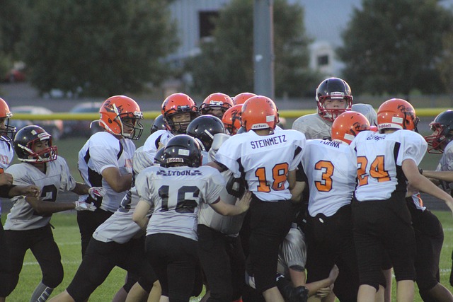 因抓住了公 因抓住了公