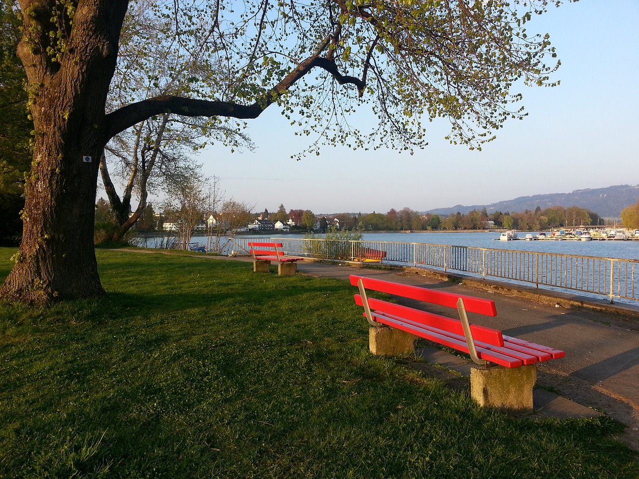 更需要的是 更需要的是