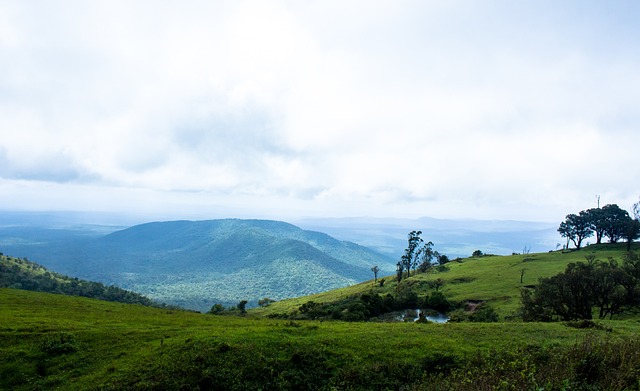 续传授给下 续传授给下
